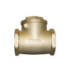 Обратный клапан для блауэра 2"